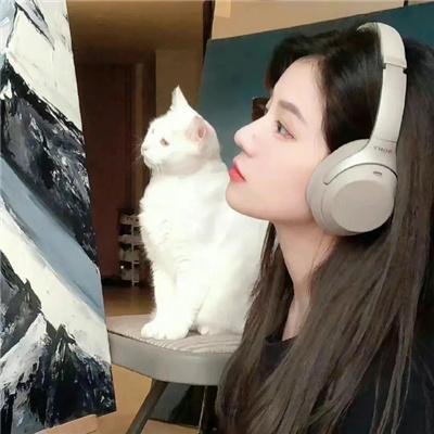 动画家庭